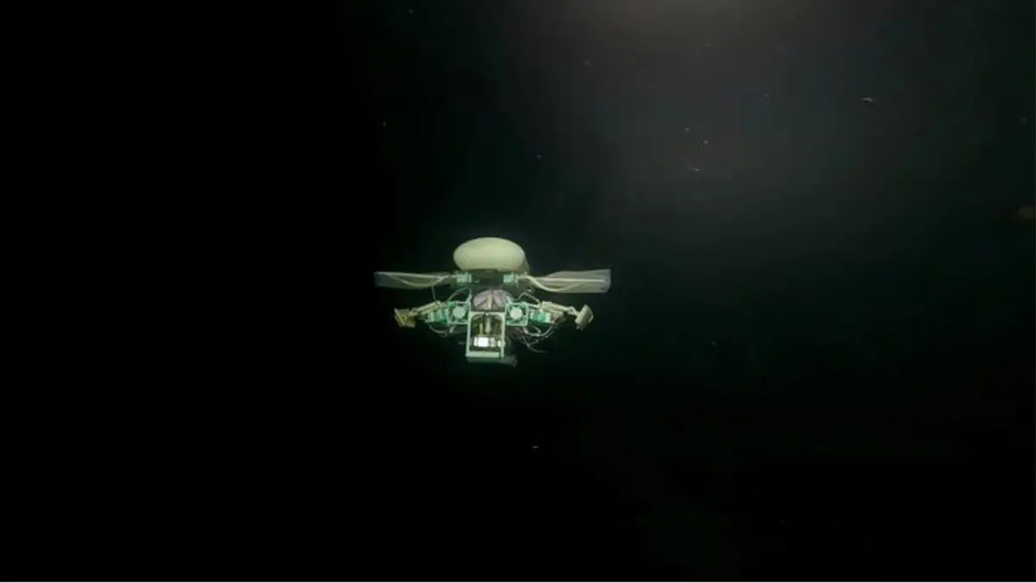 Обзор глубоководного миниатюрного мультимодального робота Обзор глубоководного миниатюрного мультимодального робота