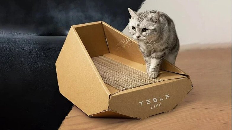 Кошачий дом Tesla