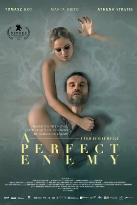 Идеальный враг: постер