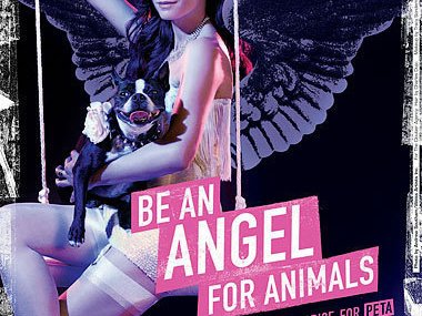Slide image for gallery: 1406 | Фамке Янссен: "Стань ангелом для животных!"