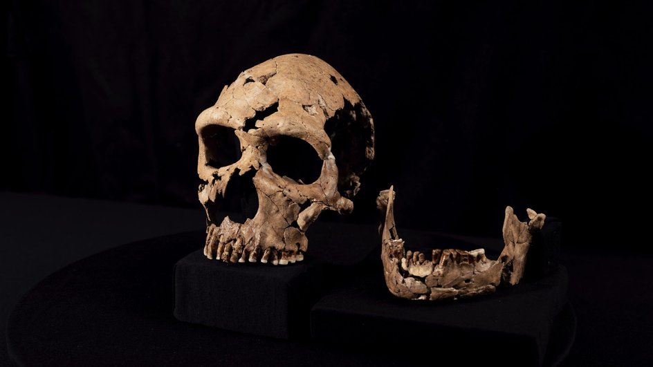 Череп женщины, жившей 75 000 лет назад