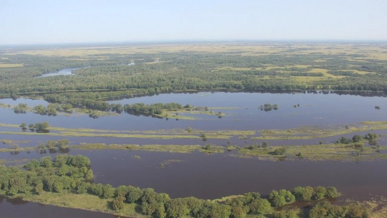 Гребень по краю шкива