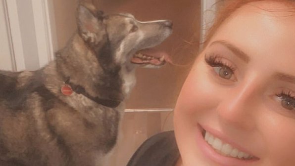 Девушка шла домой после вечеринки и случайно украла чужую собаку