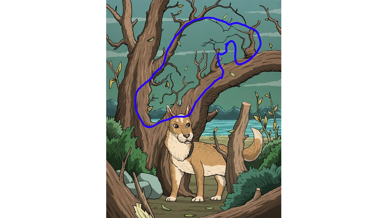 Мальчик решил спрятаться за то большое дерево. Собака спряталась иллюстрация. Волк прячется за деревом рисунок. Собака спряталась иллюстрация вектор. УШАСТИК прячутся картинка.