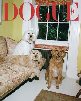 Dogue