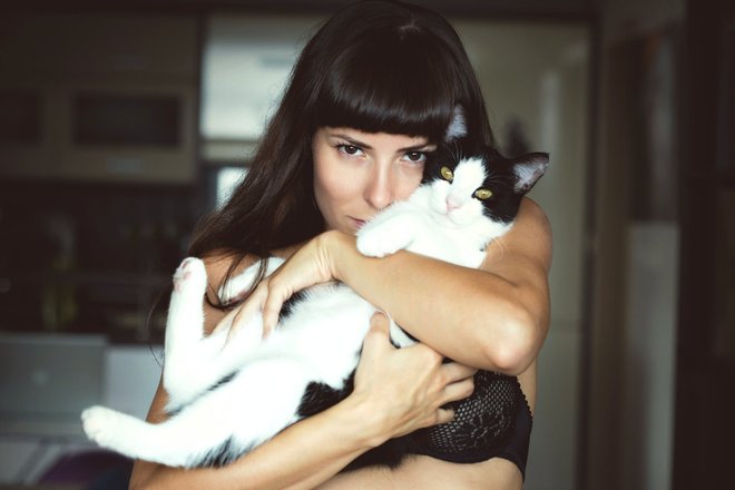 с котиком астрология с котиком астрология