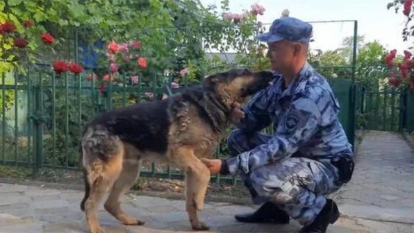 На Кубани полицейский вернул домой пропавшую овчарку