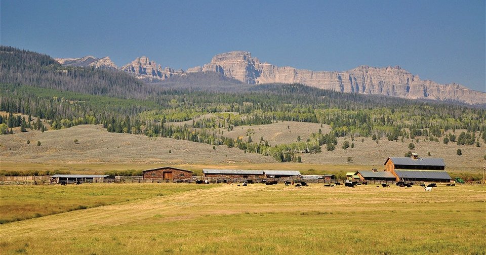 В США появилось в продаже большое ранчо семьи Уолта Диснея