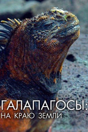 Постер телешоу «Галапагосы: На краю земли»