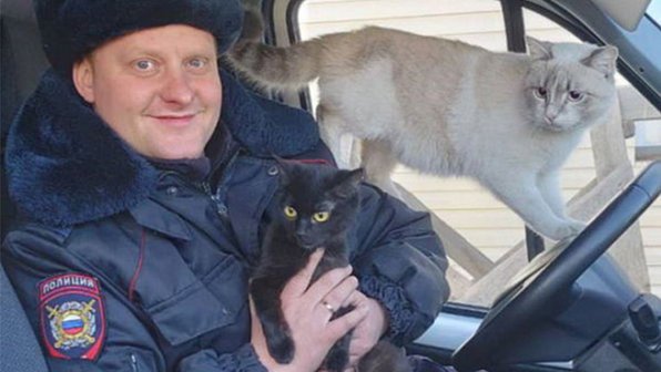 В Улан-Удэ полицейский спас котят — теперь это его питомцы