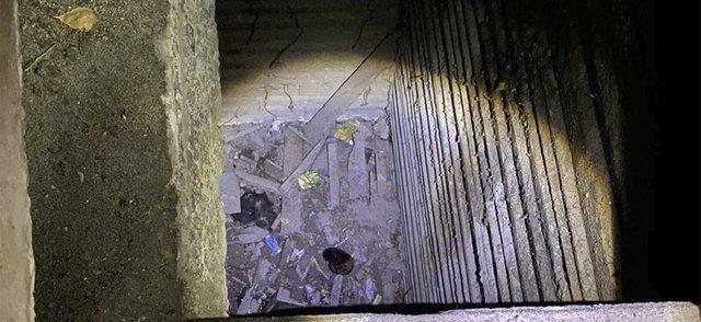 В Воронеже плачущего котенка спасли из бетонной ямы под лестницей