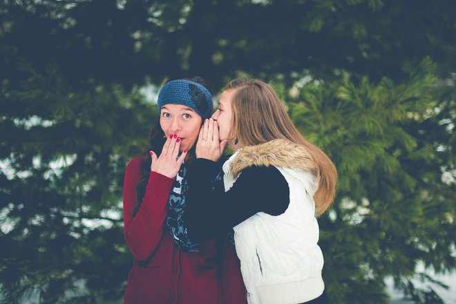 Сплетницы Сплетницы
