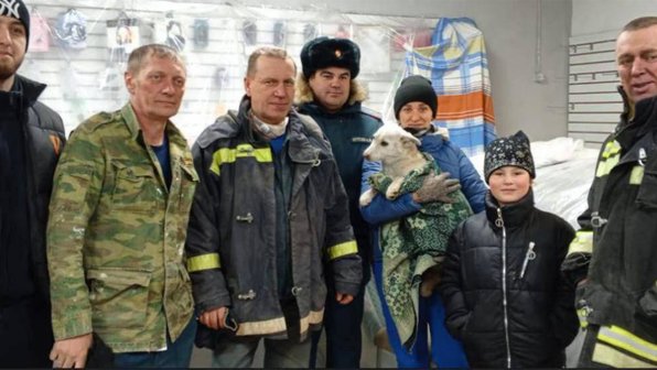 В Еврейской АО спасли дворняг, которые 2 дня умоляли о помощи