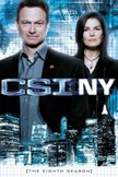 Постер CSI: Место преступления Нью-Йорк: 8 сезон
