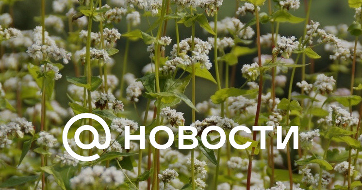 Что нельзя делать 14 августа 2024 г