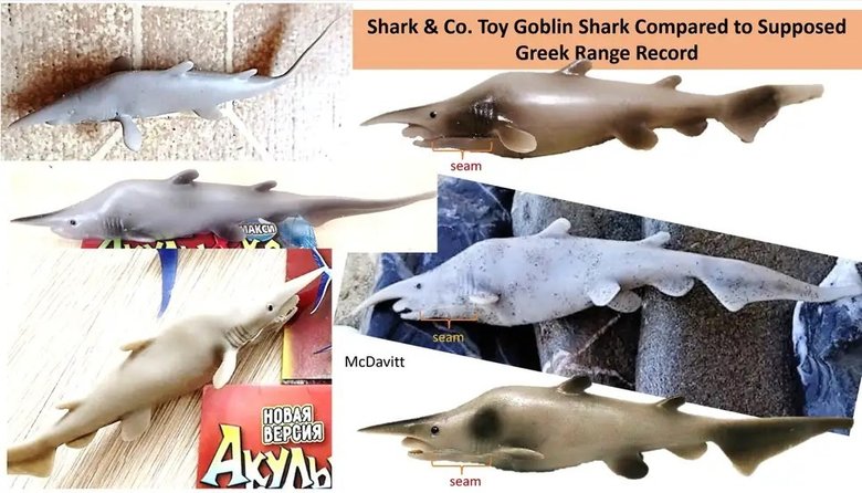 Фотоколлаж показывает снимок находки (в центре справа) рядом с фотографиями игрушечных акул, купленных в сети. Источник: gizmodo.com