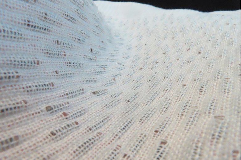 Так выглядит текстиль-зарядка. Фото: Нотингемтский Трентский университет