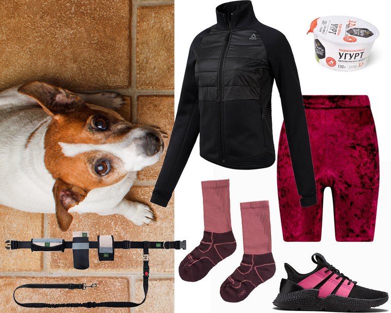 Куртка Reebok; угурт «Углече поле»; шорты Boohoo; носки Oysho; пояс для бега с собакой Hunter; кроссовки adidas
