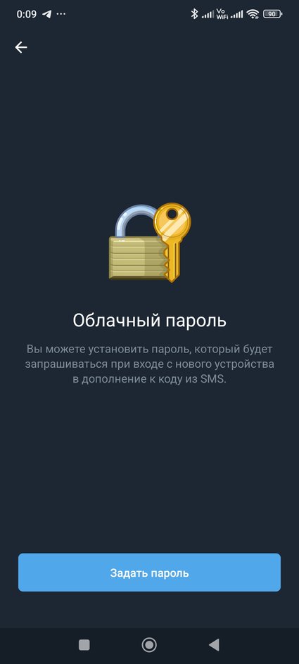 Окно в Telegram для установки пароля Окно в Telegram для установки пароля