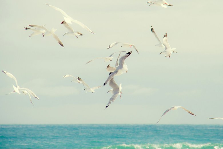Unsplash.com/CC0 Unsplash.com/CC0