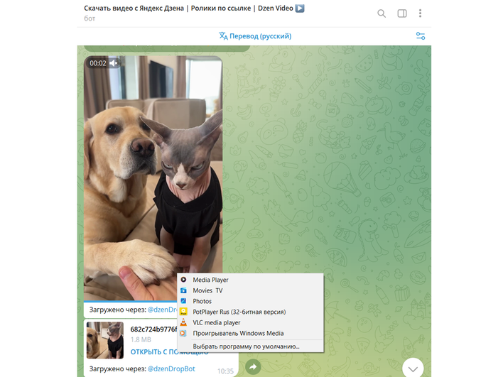Telegram-бот со скаченным видео и возможностями просмотра Telegram-бот со скаченным видео и возможностями просмотра