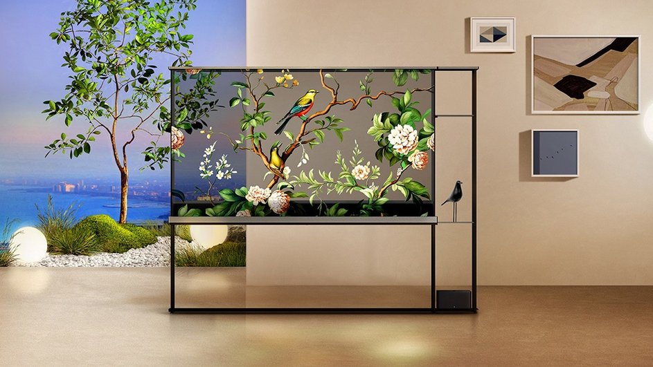 LG OLED T