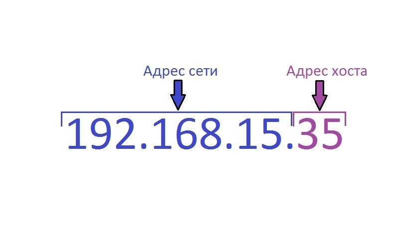 Из чего состоит IP-адрес Из чего состоит IP-адрес