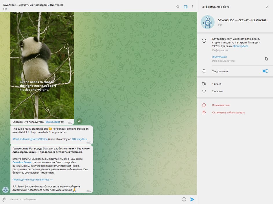 Скриншот диалога с телеграм-ботом SaveAsBot