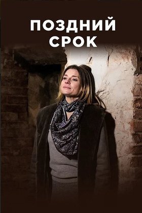 Поздний срок: постер