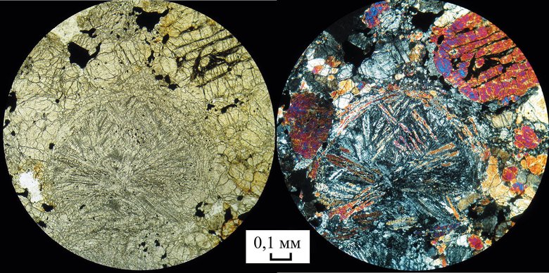 Образцы метеоритной породы под микроскопом. Фото: wikipedia.org / Perfil57