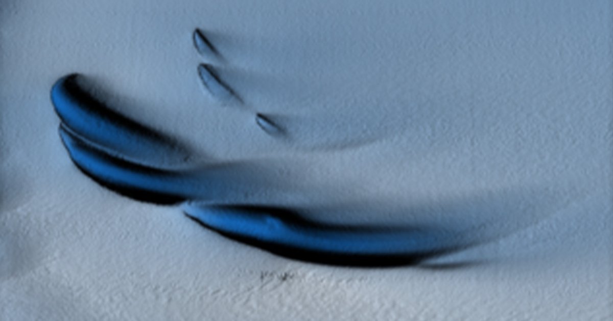 Под льдами Антарктиды обнаружили красивые «песчаные дюны»