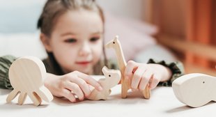 girl-with-wooden-toys-3662945.jpg