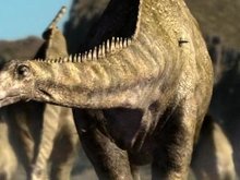 Кадр из BBC: Прогулки с динозаврами