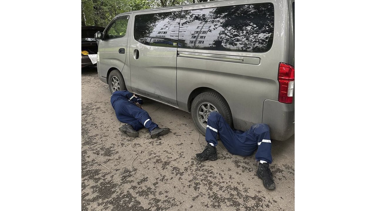 Автомобиль, полиция, девушка: как в Москве котенка спасали