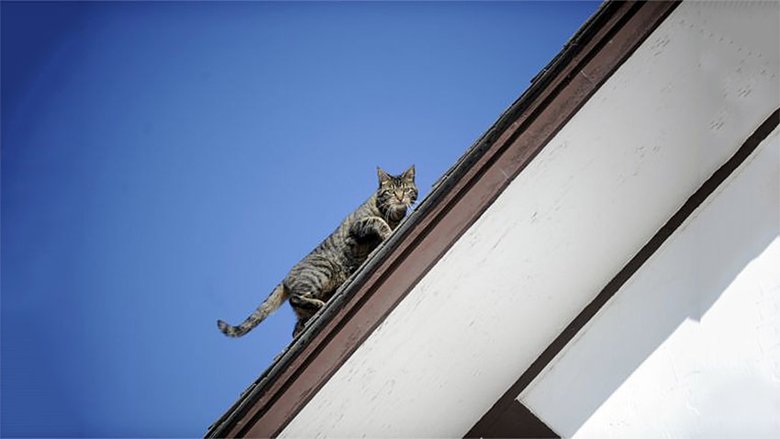 Надежная влаго- и теплоизоляция чердака и крыши — шаг в правильном направлении. Фото: Getty Images/BBC