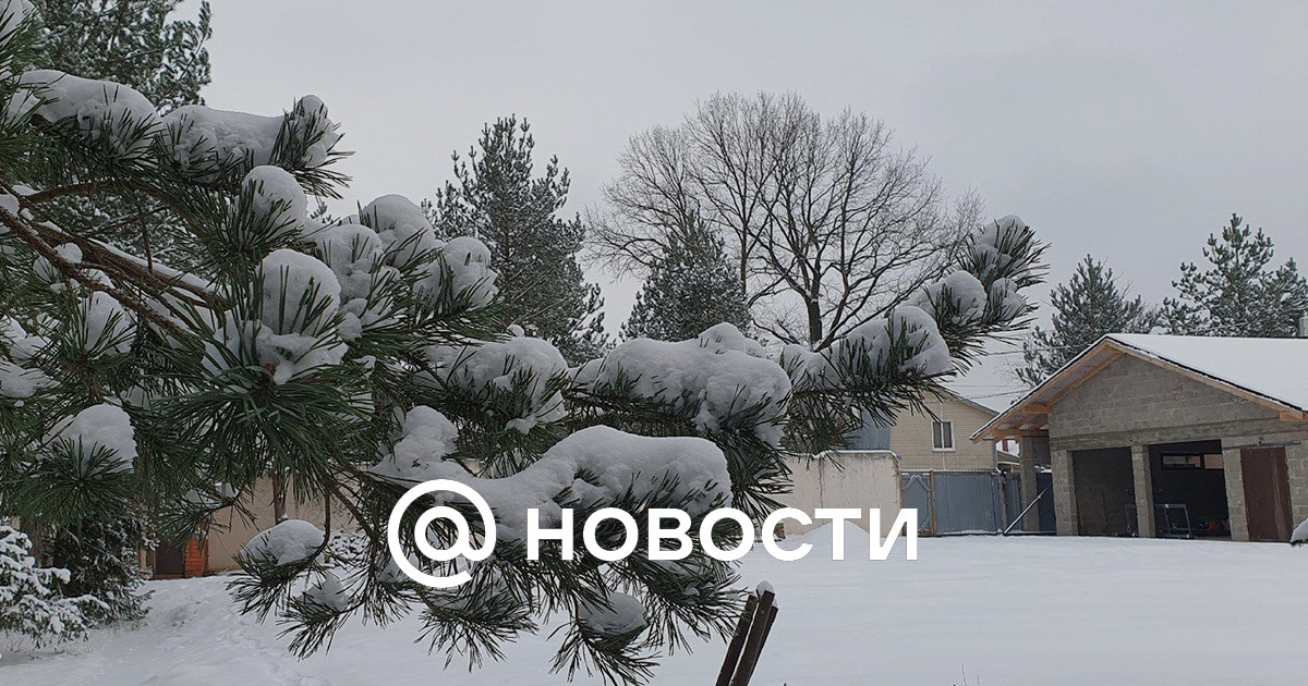 Урок рэш 9 класс