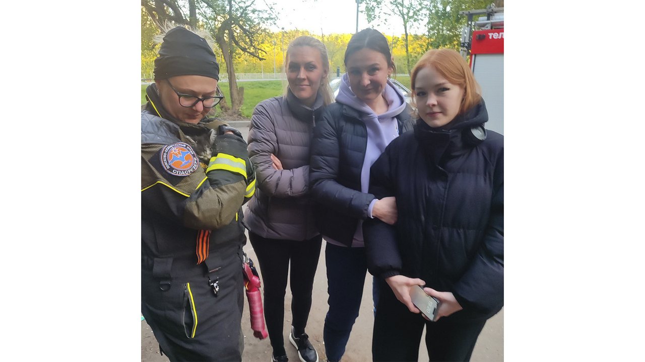В Москве спасенный котенок передал привет спасателям В Москве спасенный котенок передал привет спасателям