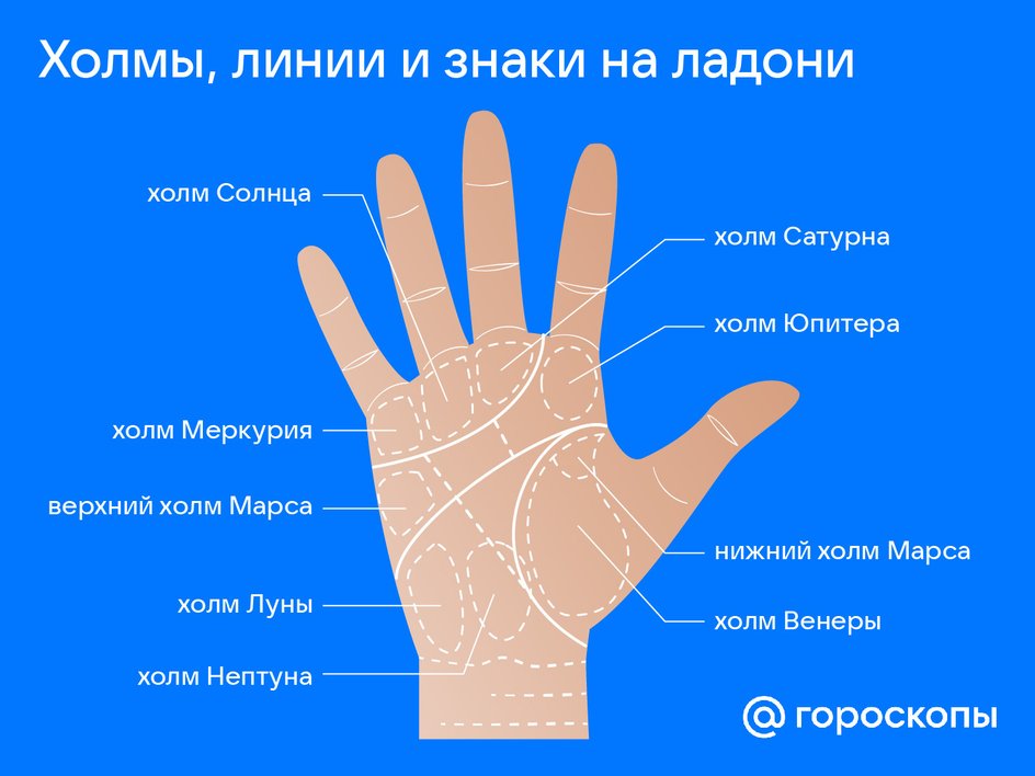 Инфографика линий и знаков на ладонях в хиромантии Инфографика линий и знаков на ладонях в хиромантии