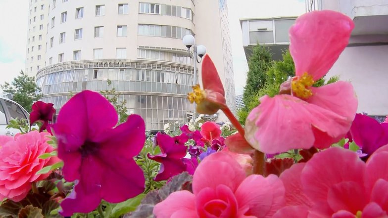 Вид на дом Вассермана. Фото: НТВ