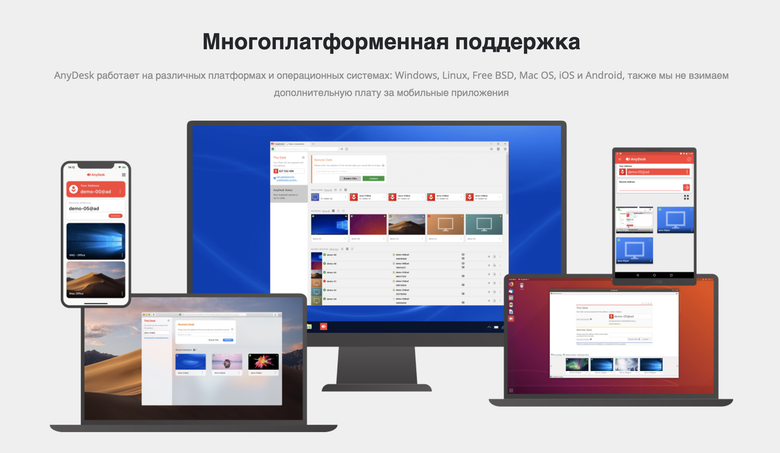Фото: anydesk.com