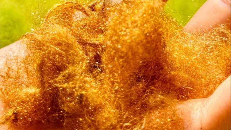 золотой морской шелк золотой морской шелк