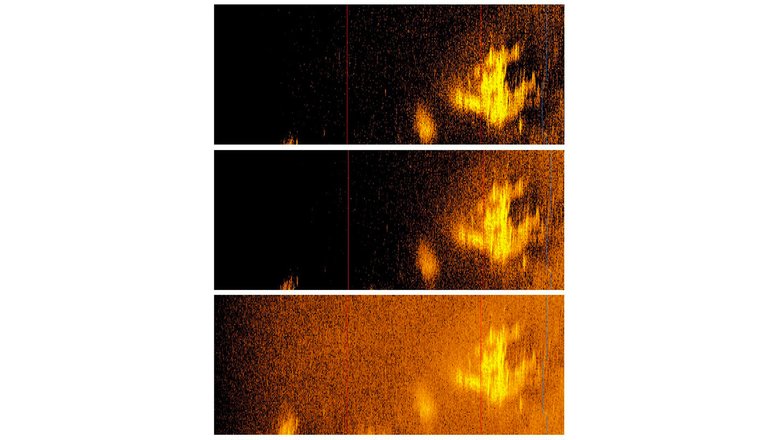 Снимок обломков, сделанный участниками исследовательской миссии с помощью гидролокатора