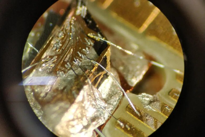 Образцы алмазов внутри одного из квантовых компьютеров Делфтского технологического университета. Золотые структуры на поверхности алмаза позволяют управлять квантовым процессором. Фото: Matteo Pompili / QuTech
