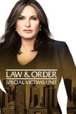 Постер Закон и порядок. Специальный корпус: 23 сезон