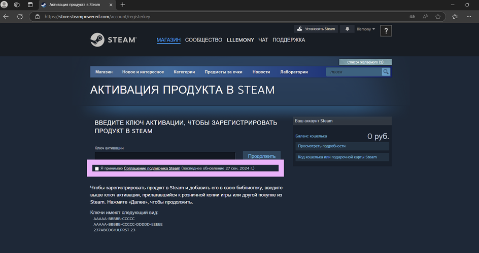 Ввод ключа в поле на сайте Steam Ввод ключа в поле на сайте Steam