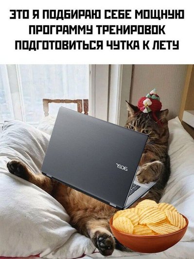 Пару дней еще есть: главное выбрать правильную программу тренировок Пару дней еще есть: главное выбрать правильную программу тренировок