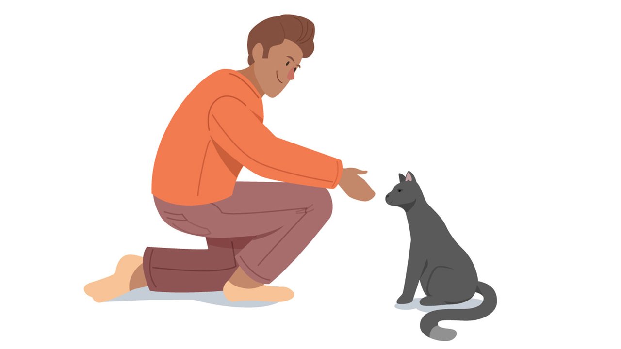 Сегодня человек и кошка — лучшие друзья, но когда началась их дружба?