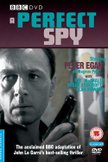 Постер Идеальный шпион: 1 сезон