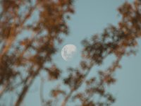 Убывающая Луна