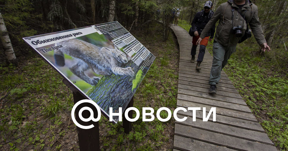 План заволжья нижегородской области